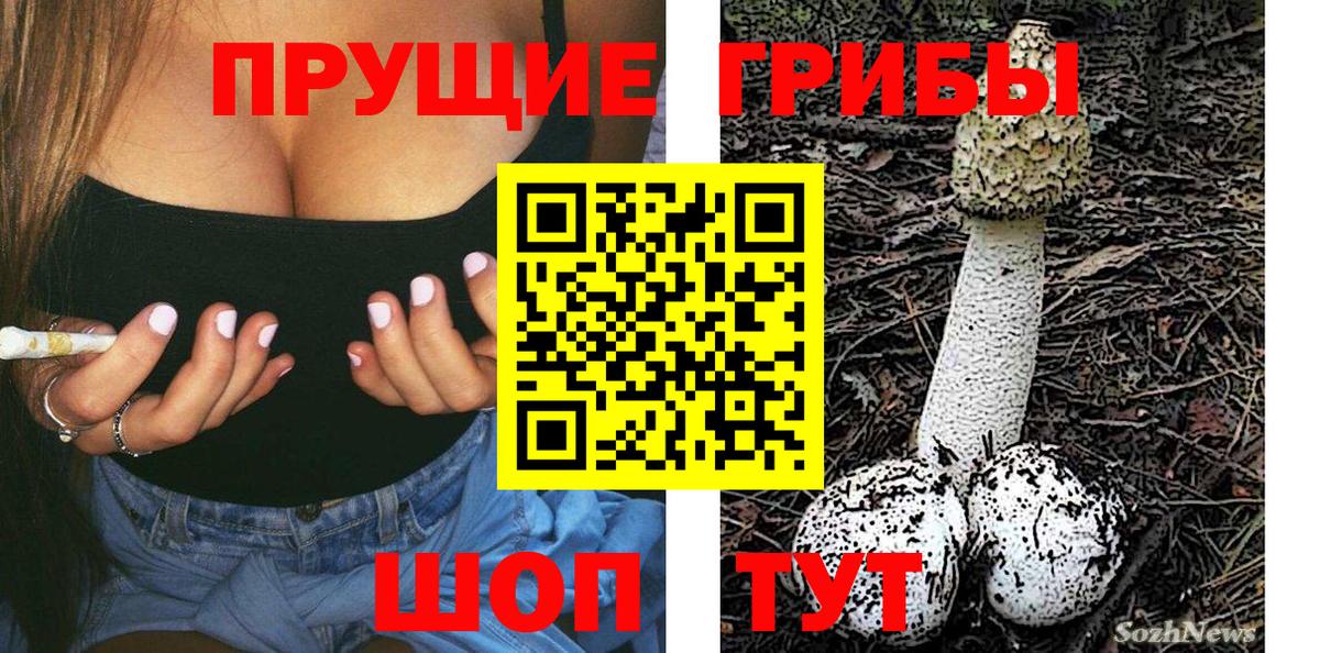 Полевской  Галлюциногенные грибы Psilocybe  наркота  Вход с VPN 